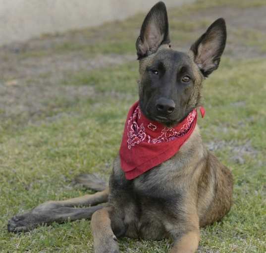 Photo of Mateo