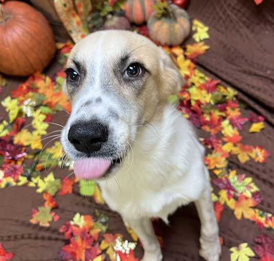 Photo of Winston