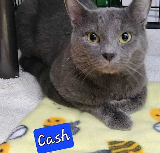 Photo of Cash