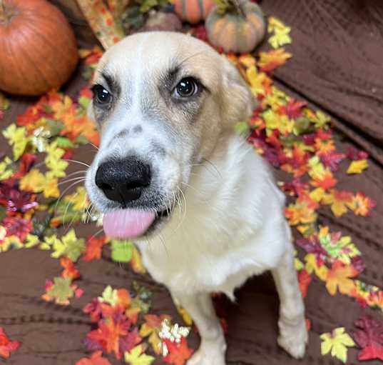 Photo of Winston