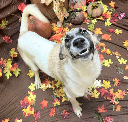 Photo of Phoebe
