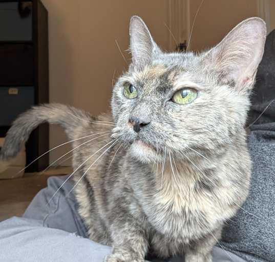 Photo of Lucy