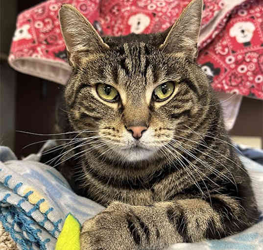 Photo of Penelope