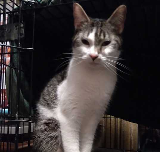 Photo of Jackson