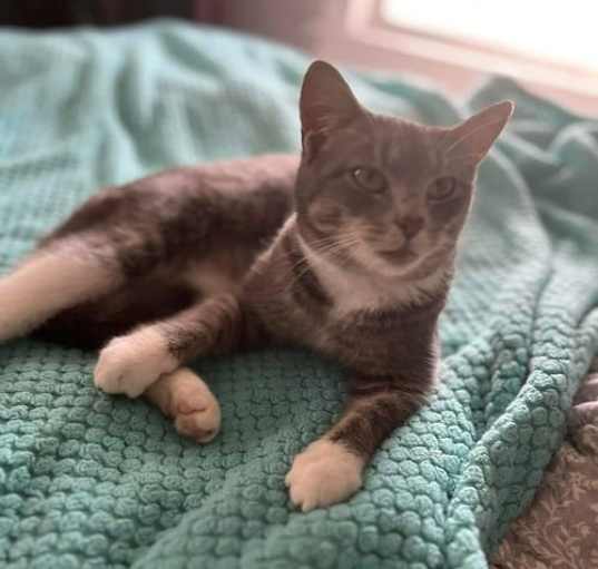 Photo of Oscar
