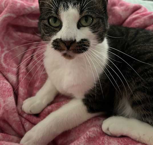 Photo of Mia