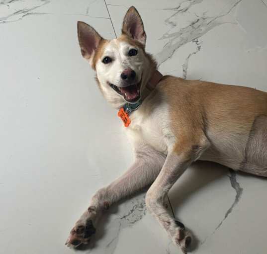 Photo of TULA