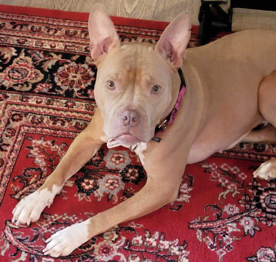 Photo of Charlotte