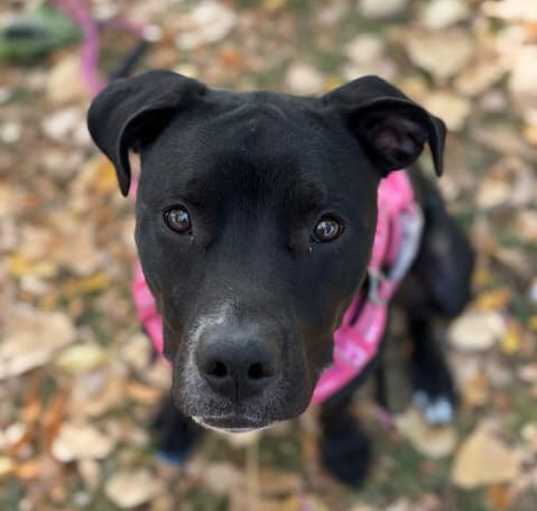 Photo of Dolly