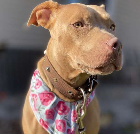 Photo of Carmella