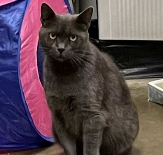 Photo of Anastasia