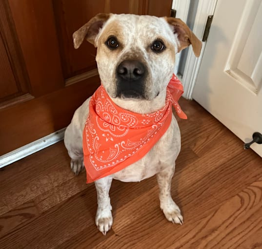 Photo of Mia