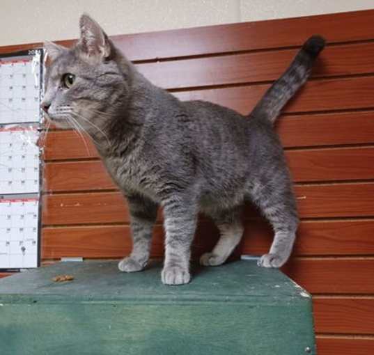 Photo of Otto