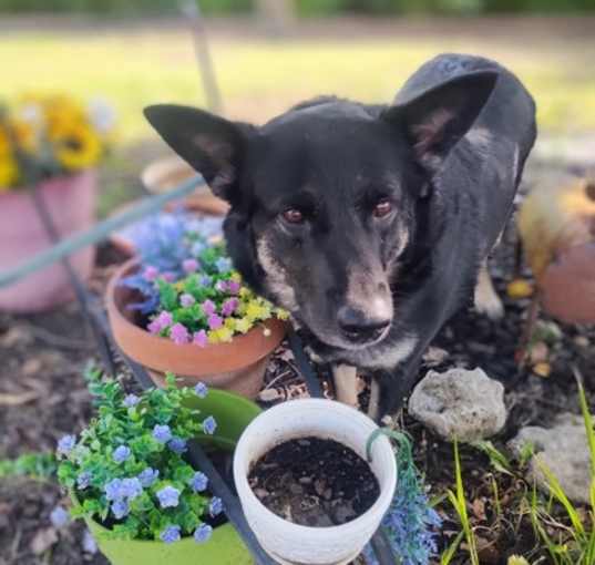 Photo of Penny Sue