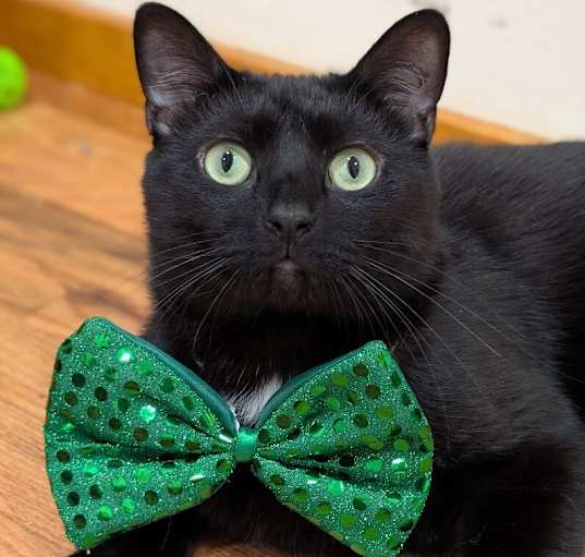 Photo of PJ
