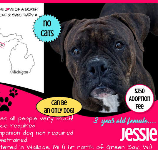 Photo of Jessie