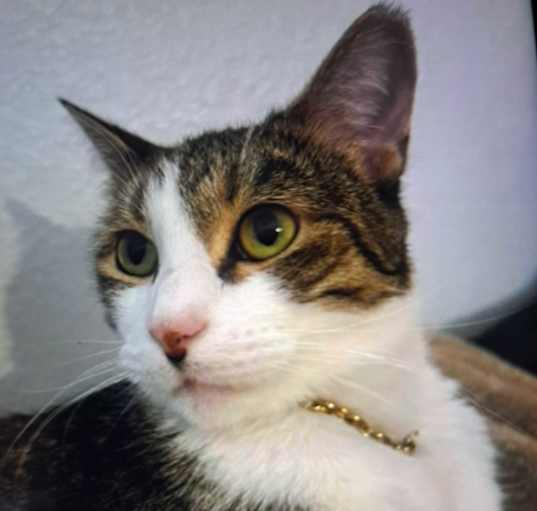 Photo of Indi