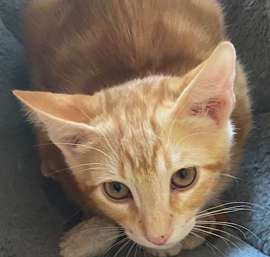Photo of Duncan