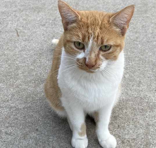Photo of Candy