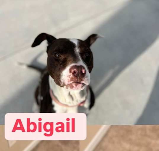 Photo of Abigail