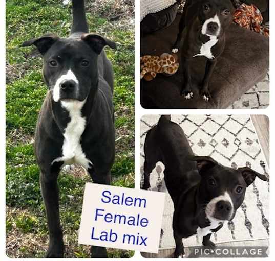 Photo of Salem
