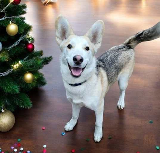 Photo of Pru