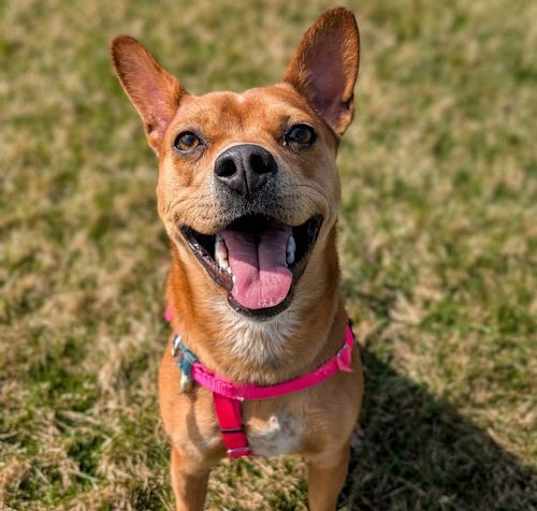 Photo of Lucy