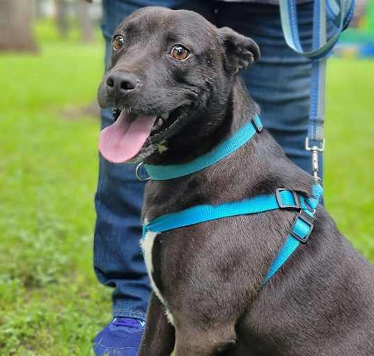 Photo of Vader