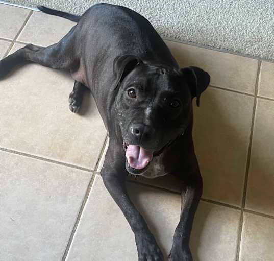 Photo of Max