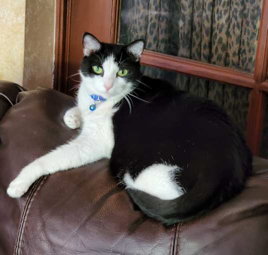 Photo of Princess