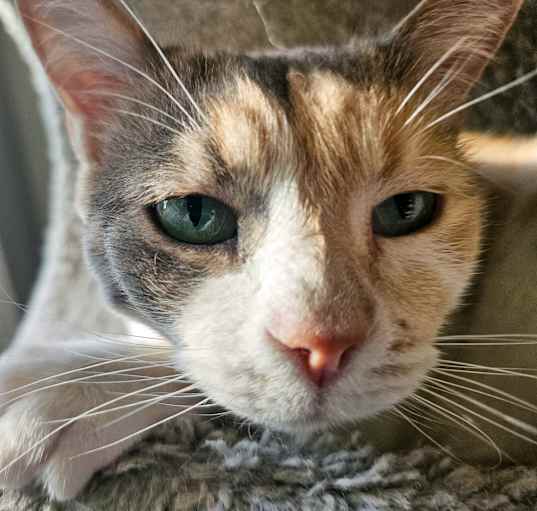 Photo of Caitlyn