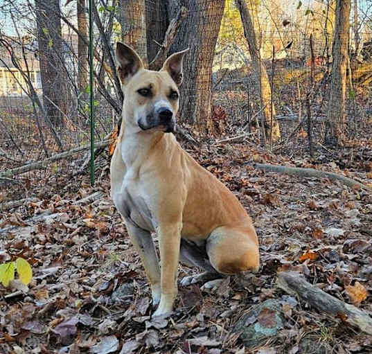 Photo of Agatha (Aggie)