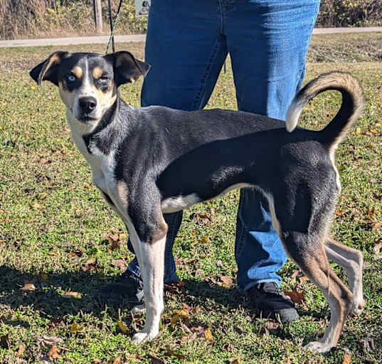 Photo of Heidi