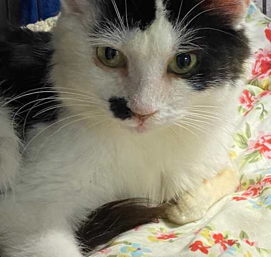 Photo of Tess
