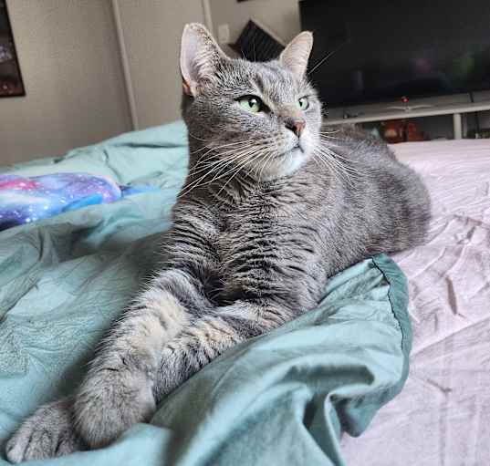Photo of Ziggy