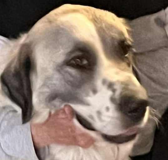 Photo of Phoebe