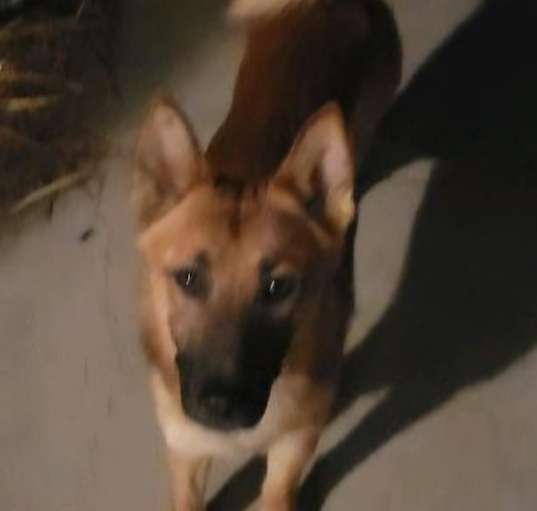 Photo of Wiley