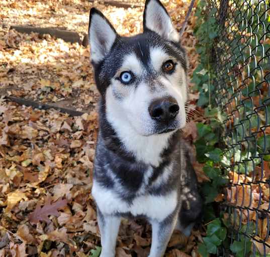 Photo of Ghost