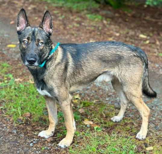 Photo of Axel