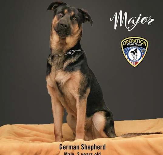 Photo of Major