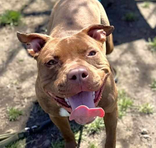 Photo of Roxy