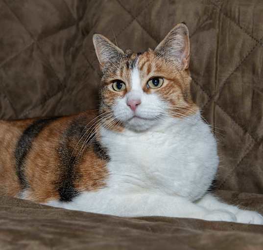 Photo of Cali