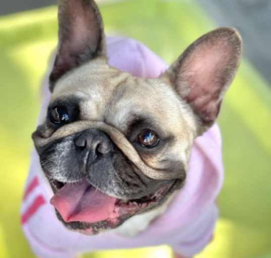 Photo of Fendi