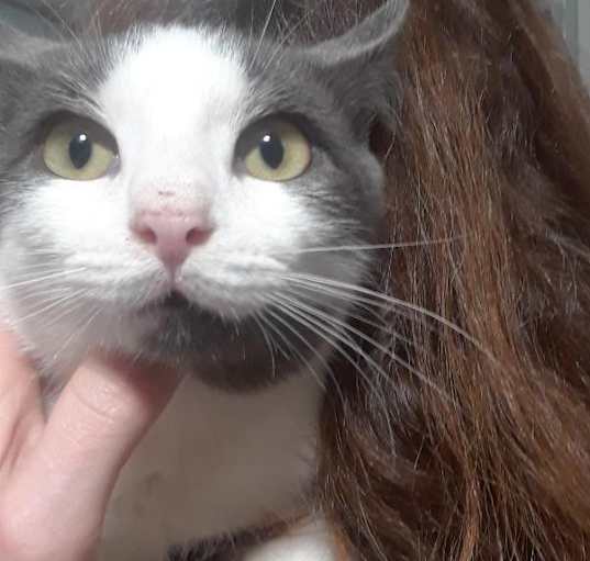 Photo of Samwise