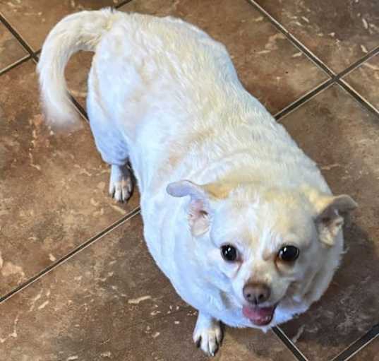 Photo of Mollie