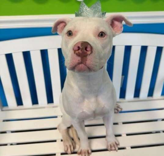 Photo of Dale - Dashingly Handsome!