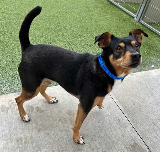 Photo of Cubby