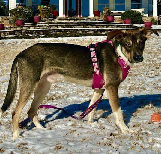 Photo of Wayne