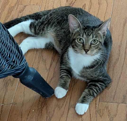 Photo of Betty