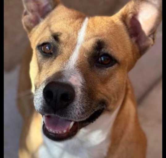 Photo of Sherley